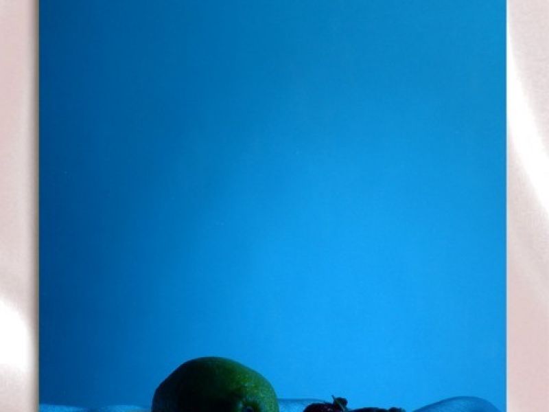 201jbo电竞网官网彩色板-430jbo电竞网官网薄板的微观组织特征